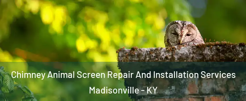  Chimney Animal Screen Repair And Installation Services Madisonville - KY