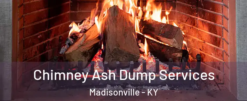  Chimney Ash Dump Services Madisonville - KY