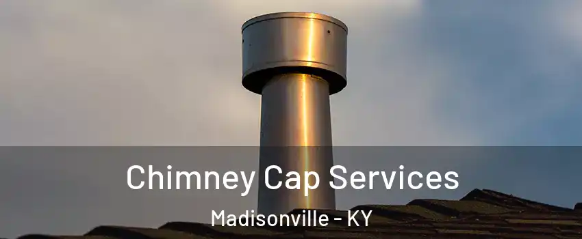  Chimney Cap Services Madisonville - KY
