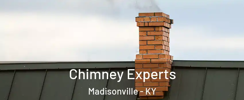  Chimney Experts Madisonville - KY