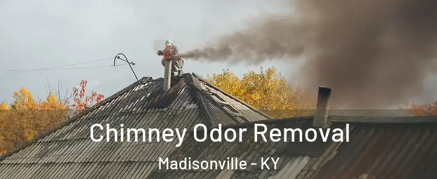  Chimney Odor Removal Madisonville - KY
