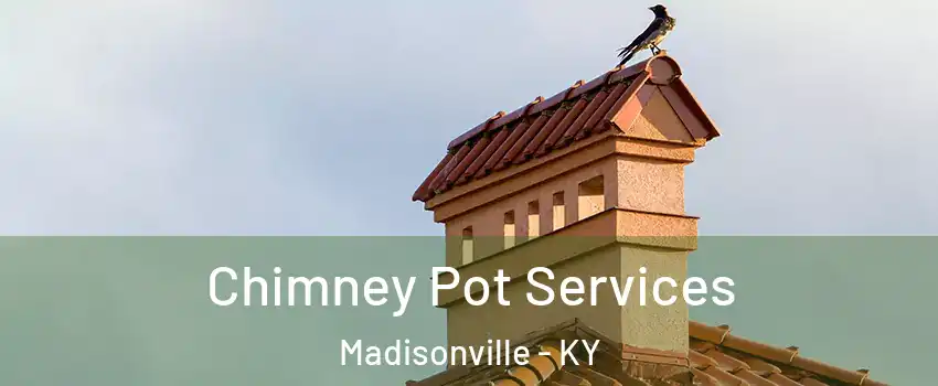  Chimney Pot Services Madisonville - KY