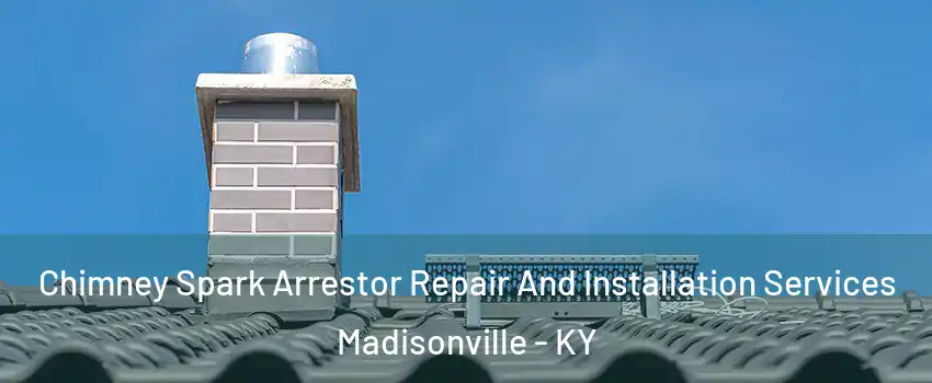  Chimney Spark Arrestor Repair And Installation Services Madisonville - KY