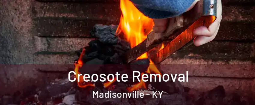  Creosote Removal Madisonville - KY