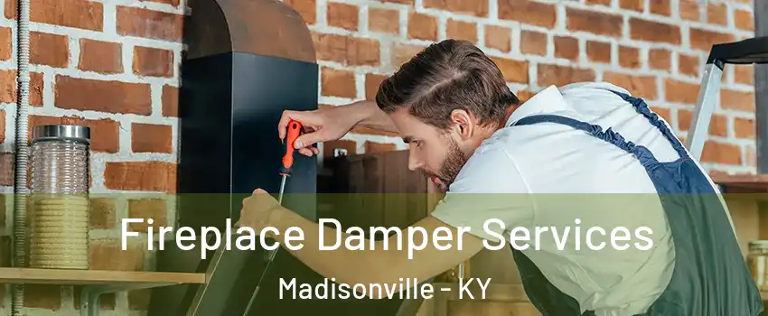  Fireplace Damper Services Madisonville - KY