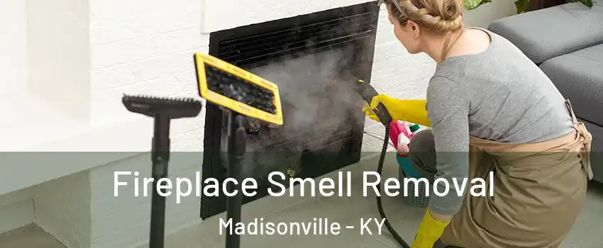 Fireplace Smell Removal Madisonville - KY