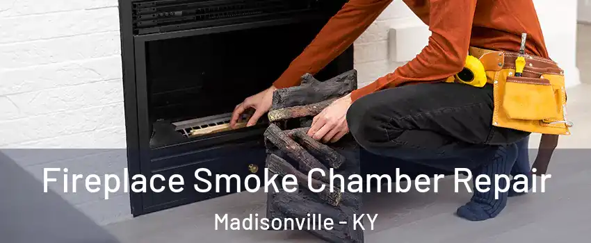  Fireplace Smoke Chamber Repair Madisonville - KY