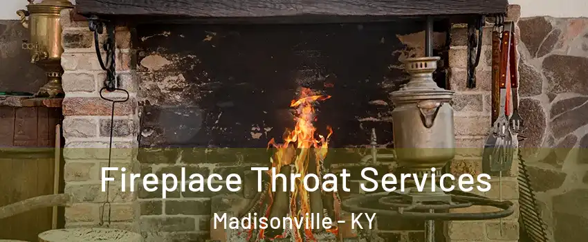  Fireplace Throat Services Madisonville - KY
