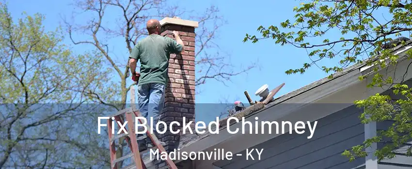  Fix Blocked Chimney Madisonville - KY