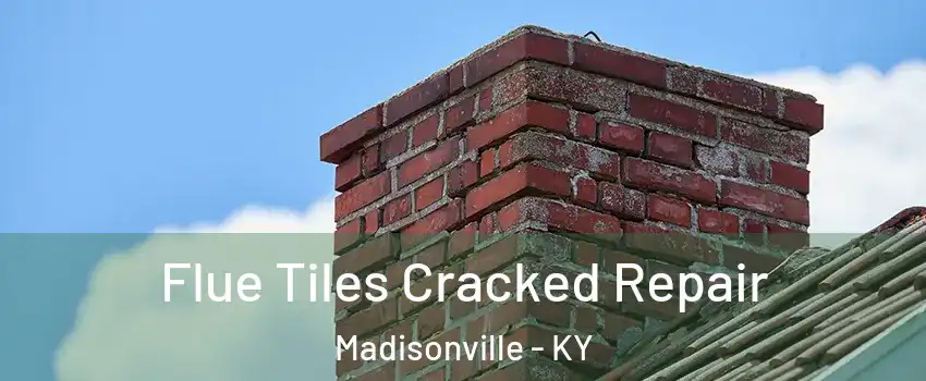  Flue Tiles Cracked Repair Madisonville - KY