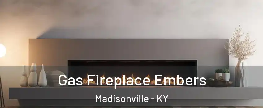  Gas Fireplace Embers Madisonville - KY
