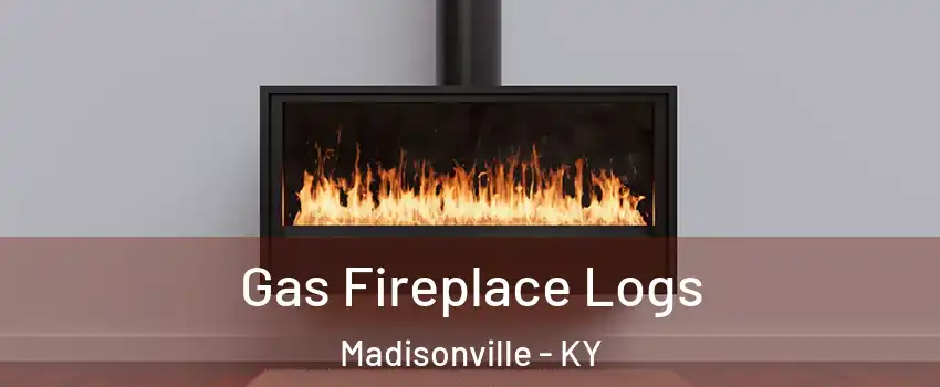  Gas Fireplace Logs Madisonville - KY