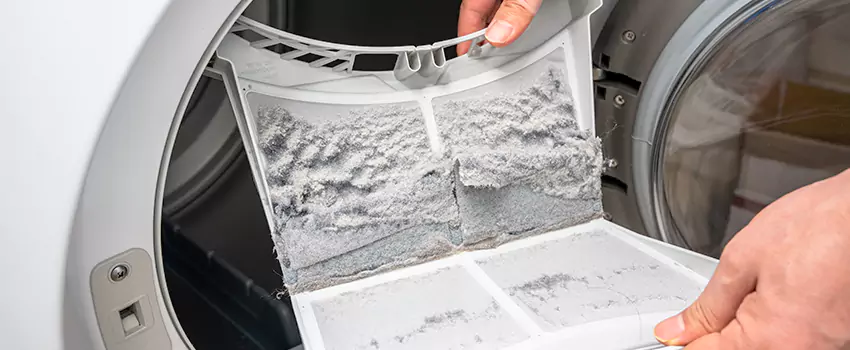 Best Dryer Lint Removal Company in Madisonville, Kentucky
