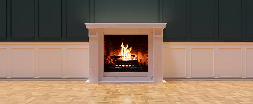 Napoleon Electric Fireplaces Inspection Service in Madisonville, Kentucky
