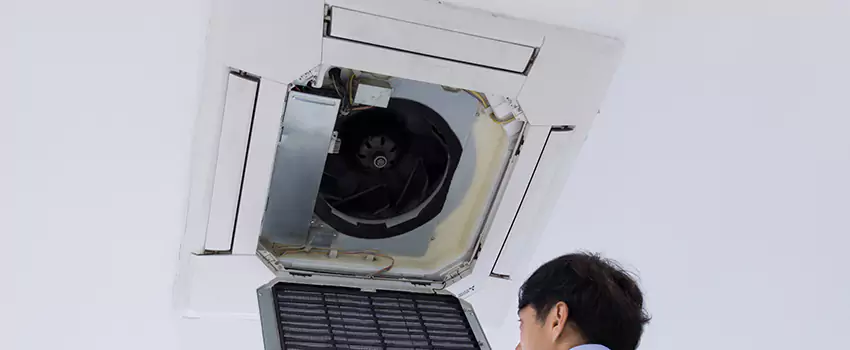 Benefits of Professional Air Duct Cleaning in Madisonville, Kentucky