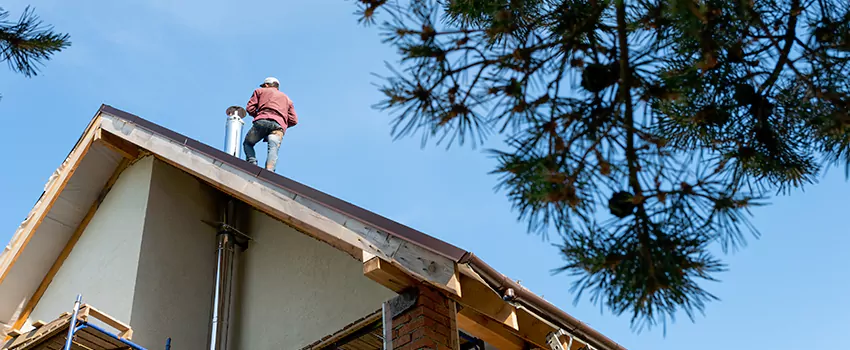Birds Removal Contractors from Chimney in Madisonville, KY
