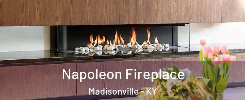  Napoleon Fireplace Madisonville - KY