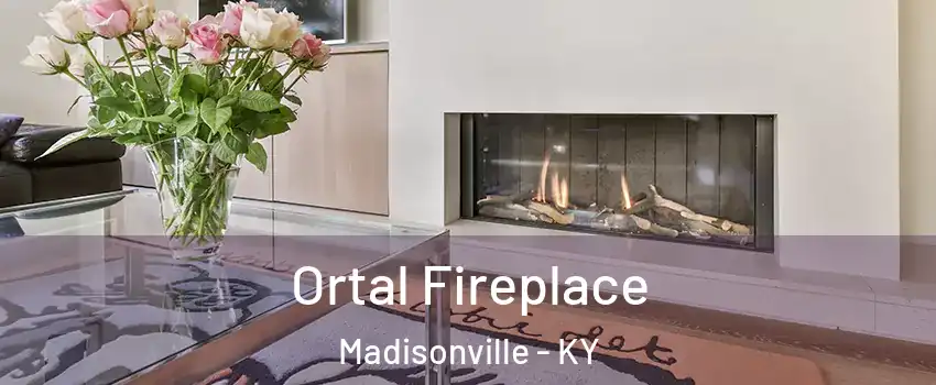  Ortal Fireplace Madisonville - KY