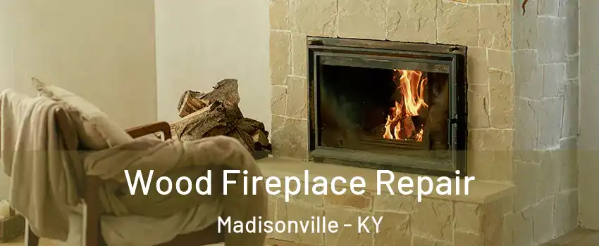  Wood Fireplace Repair Madisonville - KY