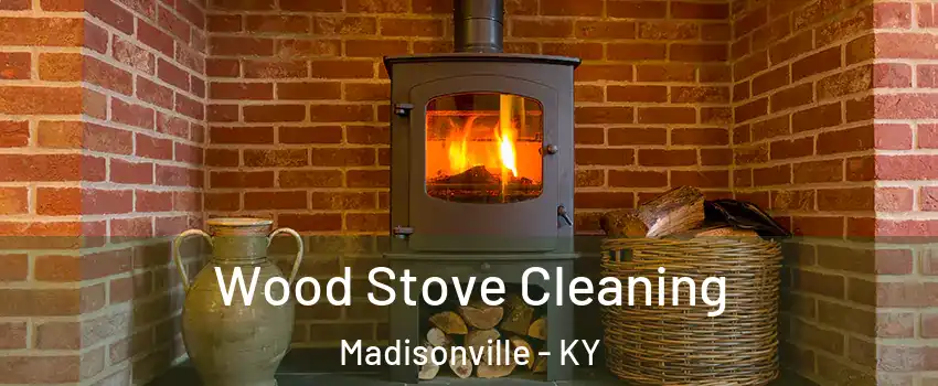  Wood Stove Cleaning Madisonville - KY